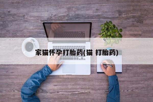 打胎药购买微信保密发货1-2天直邮到家家猫怀孕打胎药(猫 打胎药)